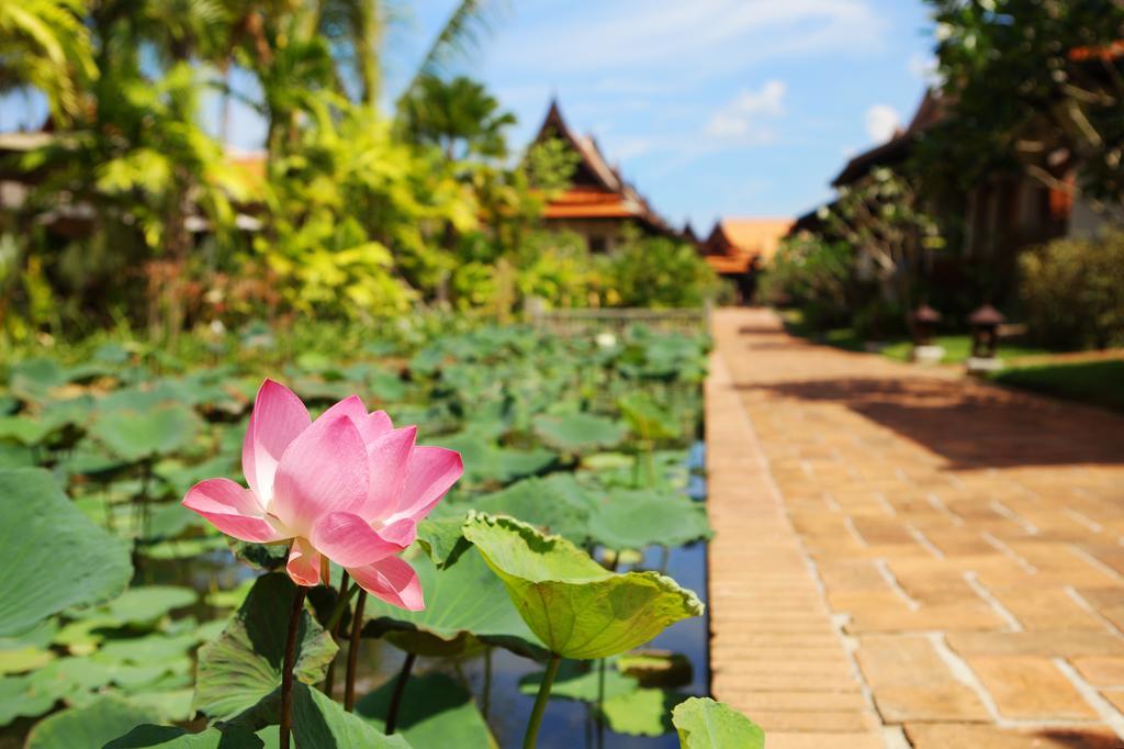 Khaolak Bhandari Resort&Spa - SHA Extra Plus Khao Lak Bagian luar foto